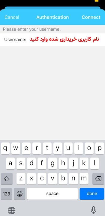 image_2025-10-12_004114071