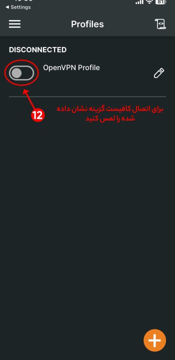 image_2025-10-12_163926713