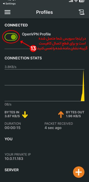 image_2025-10-12_163941960