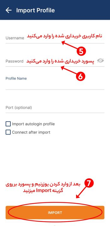 image_2025-10-12_164112864