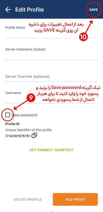 image_2025-10-12_164125473