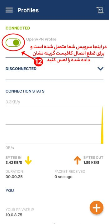 image_2025-10-12_164136226